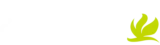 SSP Trading